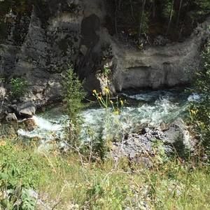 Meet your Posher, Donna